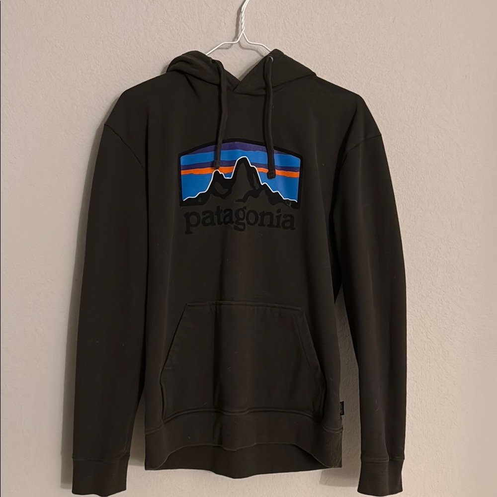 Patagonia Hoodie